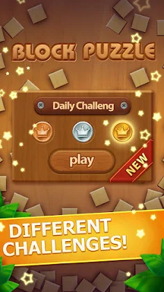 Wood Block Puzzle - Block Game - Screenshot 3