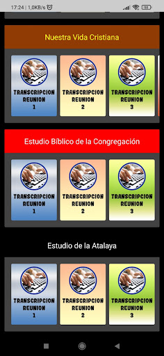 Transcripción de las Reuniones Screen 2