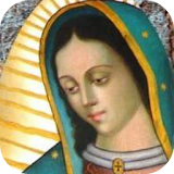 Hermosa Virgen de Guadalupe Patrona de México icon