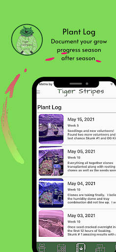Tiger Stripes Screen 2