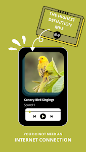 Canary bird singing