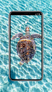 Turtle Wallpaper HD