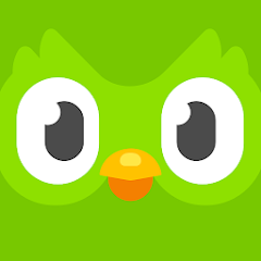 Duolingo: học ngoại ngữ on pc