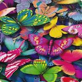 Butterfly Live Wallpaper HD 5 icon