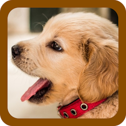 Icon image DOG PUPPY WALLPAPERS