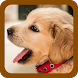 犬と子犬の壁紙 - Androidアプリ