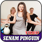 Senam Pinguin Terbaru Dan Seru icon