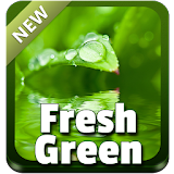 Fresh Green Theme icon