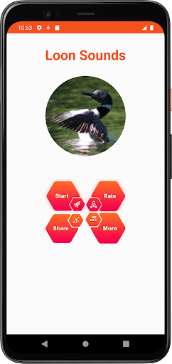 Loon Sounds Screen 2