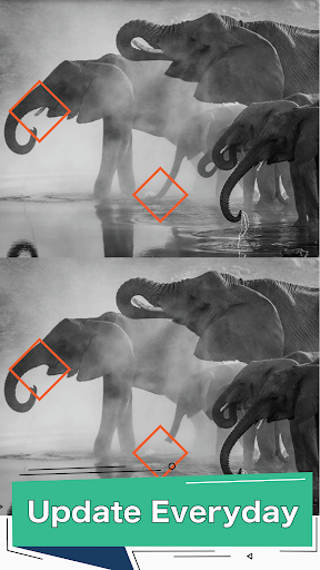 Hunt Differences: Seek & Spot Screen 3