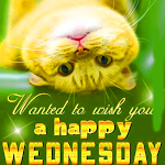 Cover Image of 下载 Wednesday good morning wishes 3 APK