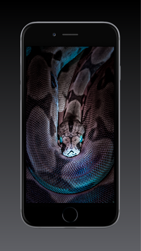 Snake Wallpaper HD, GIF Screen 2