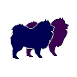 Fur Play Mobile Dog Grooming icon