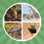 Cover Image of Tải xuống Learn Animal Names 1.9.5 APK