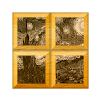 Art Puzzle: Vincent van Gogh