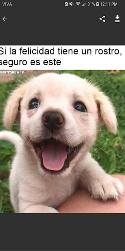 Status Saver For Whatsapp