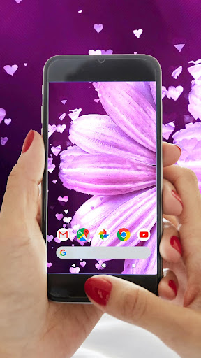 Gerbera Flower Particles Video