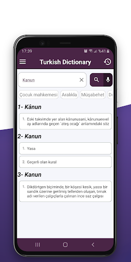 Turkish Dictionary Screen 2