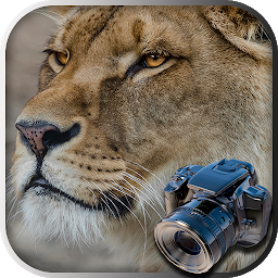 隠れている動物 -  アイテム探し 日本語。探し物ゲーム Mod Apk