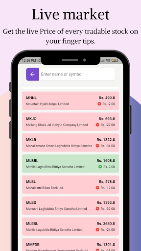Mr NEPSE - Bulk IPO Checker Screen 3
