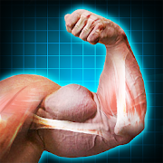 Bodybuilder Arms - Photo Filters and Effects
