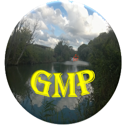 Icon image GMP Audit- GFSI