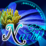 Cover Image of डाउनलोड Good Night in German  APK