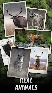 Trophy Hunter – Casual Hunting - Screenshot 2