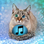 Cover Image of ดาวน์โหลด Animal Sounds Ringtones App 1.4 APK