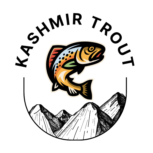 Kashmir Trout logo