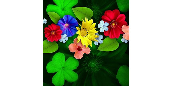 Flower Wallpaper 4K, Floral Ba – Apps on Google Play