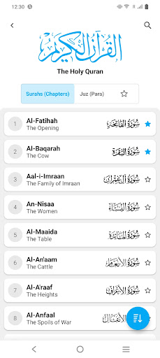 HOLY QURAN - القرآن الكريم‎ screenshot 8