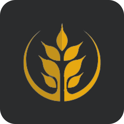 Ceifa Church - NY logo