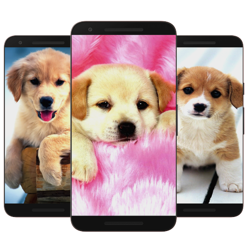子犬と犬の壁紙hd Google Play のアプリ