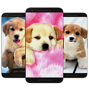 ? Puppy & Dog Wallpaper HD ?