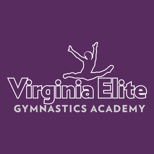 Virginia Elite Gymnastics logo