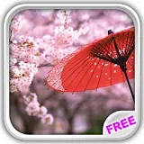 Sakura Flowers Live Wallpaper icon