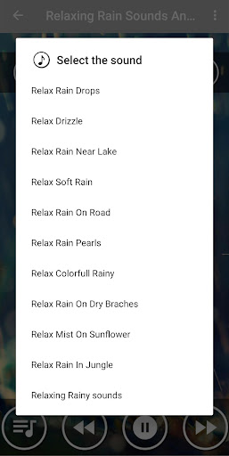 Rainy Day-Relaxing Rain Sounds Screen 2