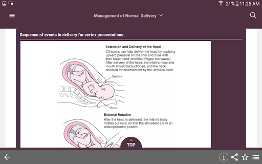 Screenshot of MSD Manual Guide to Obstetrics