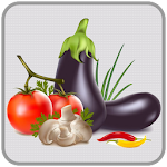 Veggie Point: Learn Vegetables Apk