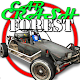Car Crash Forest racing game