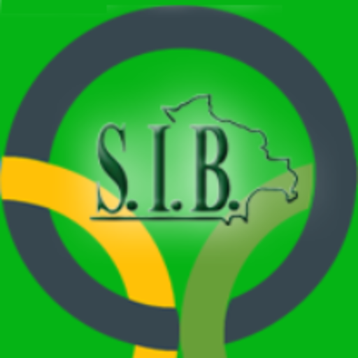 Ligas Bolivia logo