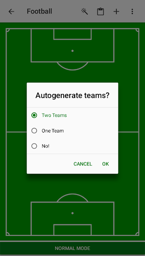 Xtrategy Football and Basketbal