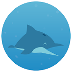 Dolphin Circle