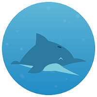 Dolphin Circle