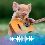 Cover Image of Download Pig sounds Ringtones  APK