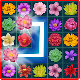 Onet Blossom - Flower Link icon