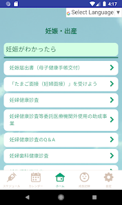 Screenshot image