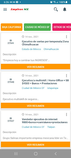 Bolsa de Trabajo Mexico Screen 2