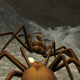Spider Nest Simulator - insect icon